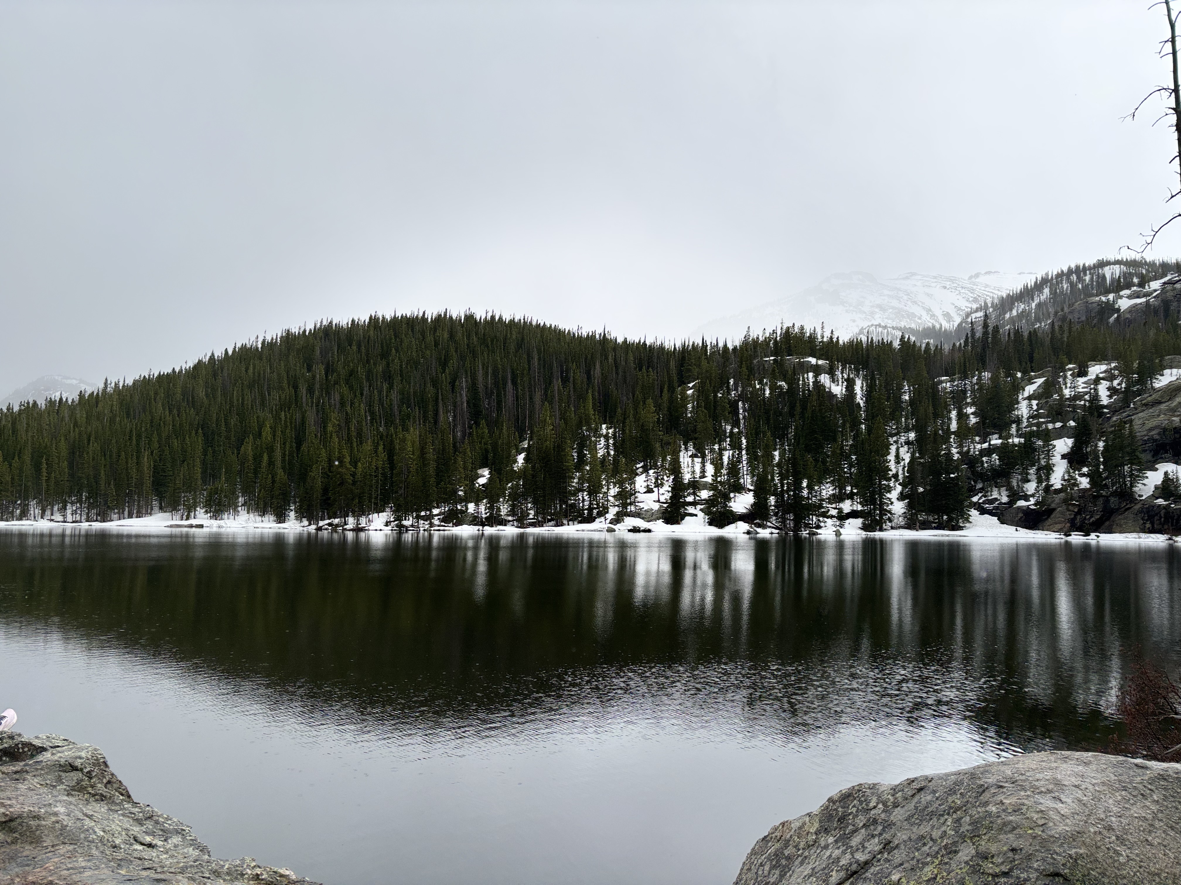 Winter Walks Through the City